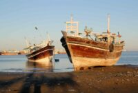 مهمترین ظرفیت های اقتصادی ایران در استان‌های حاشیه سواحل مکران وجود دارد