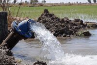 اجرای شبکه فرعی آبیاری بیش از ۳ هزار و ۸۰۰ هکتار از اراضی تحت پوشش طرح آبرسانی دشت سیستان