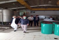 بازگشت واحد تولیدی نخل طلایی بلوچ به چرخه تولید