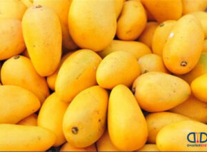 مبادلات مرزی محصولات کشاورزی از سیستان و بلوچستان به ۱/۵ میلیون تن رسید