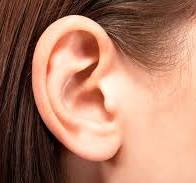 گیرندگان اعضای اهدائی مبلغی بابت عضو، پرداخت نمی کنند