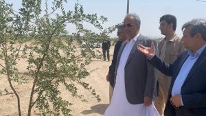 بزرگ‌ترین پارک جنگلی جنوب‌شرق کشور در زاهدان؛ نمادی از همافزایی و مدیریت پایدار