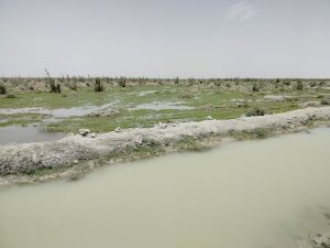 افتتاح ۳ طرح زیربنایی منابع طبیعی در سیستان و بلوچستان با اعتبار ۱۲۱ میلیارد ریال